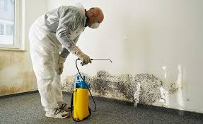 Garden City, GA Mold Prevention & Removal  Company