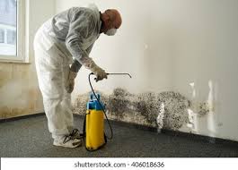 Why You Should Choose Our Mold Remediation Services in Garden City, GA